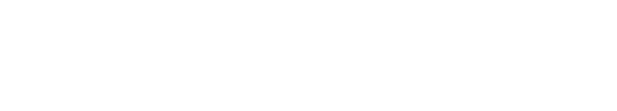 ActionCOACH_LOGO2019_W